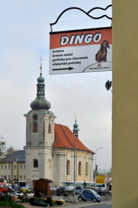 Zvířata, krmiva a včelařské potřeby - DINGO